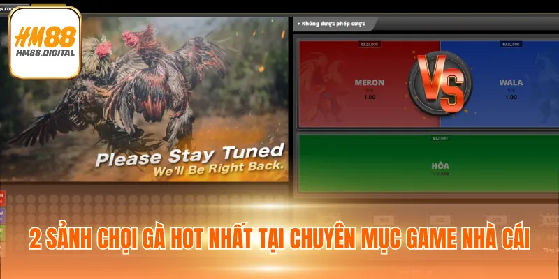 2 sảnh chọi gà hot nhất tại chuyên mục game nhà cái