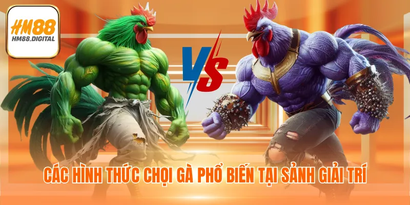 Các hình thức chọi gà phổ biến tại sảnh giải trí