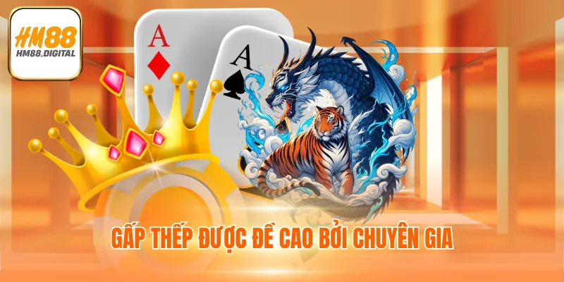 Chiến thuật gấp thếp giúp thành viên chiến thắng 100%