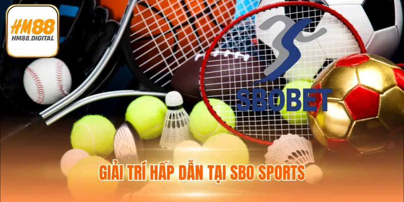 Giải trí hấp dẫn tại SBO Sports